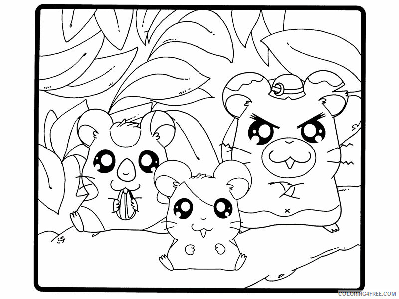 Hamster Coloring Sheets Animal Coloring Pages Printable 2021 2269 Coloring4free