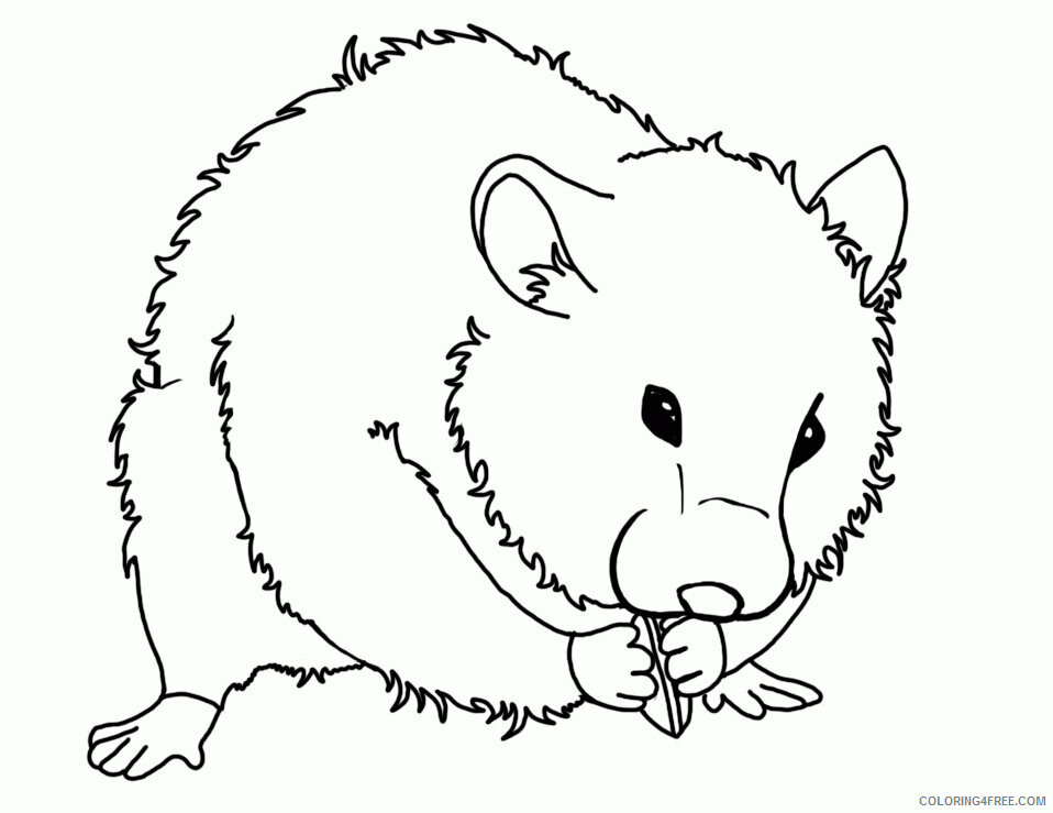 Hamster Coloring Sheets Animal Coloring Pages Printable 2021 2270 Coloring4free
