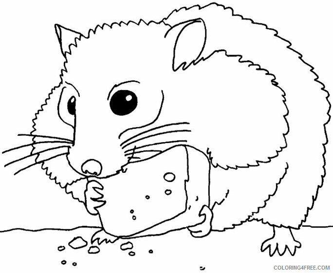 Hamster Coloring Sheets Animal Coloring Pages Printable 2021 2276 Coloring4free