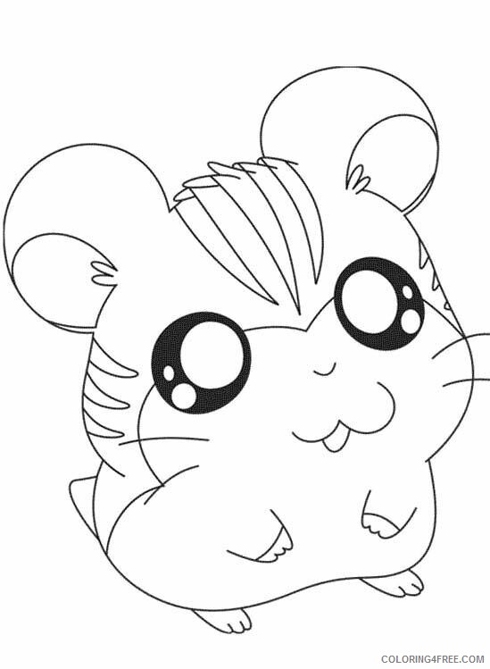 Hamster Coloring Sheets Animal Coloring Pages Printable 2021 2281 Coloring4free