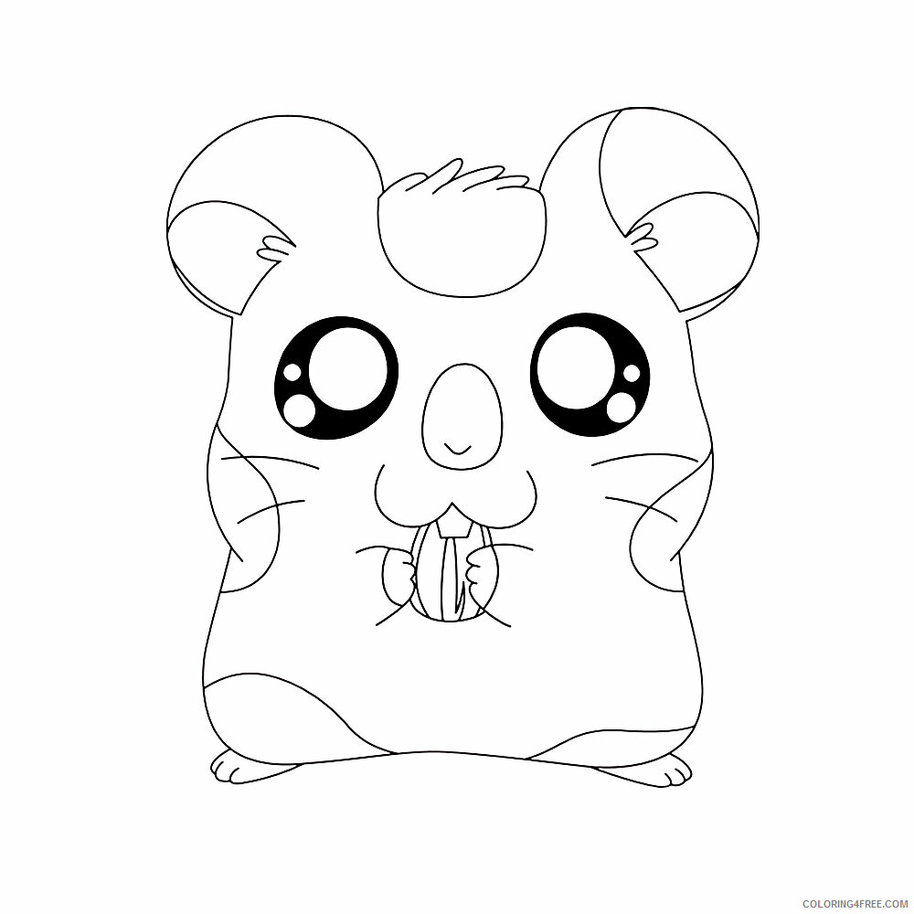 Hamster Coloring Sheets Animal Coloring Pages Printable 2021 2284 Coloring4free