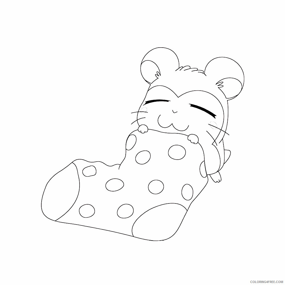 Hamster Coloring Sheets Animal Coloring Pages Printable 2021 2289 Coloring4free