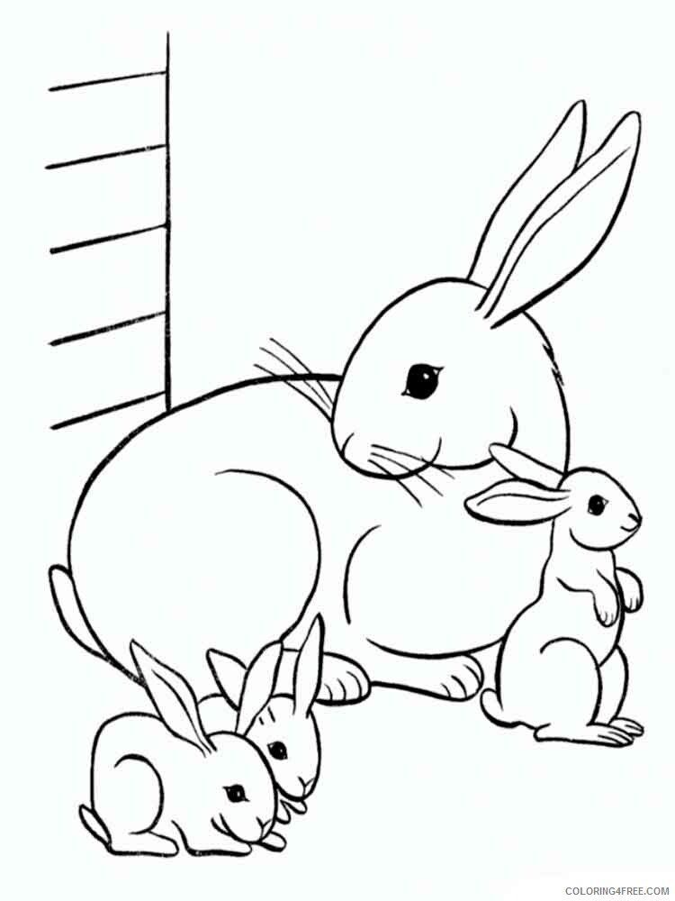 Hare Coloring Pages Animal Printable Sheets hares 13 2021 2590 Coloring4free