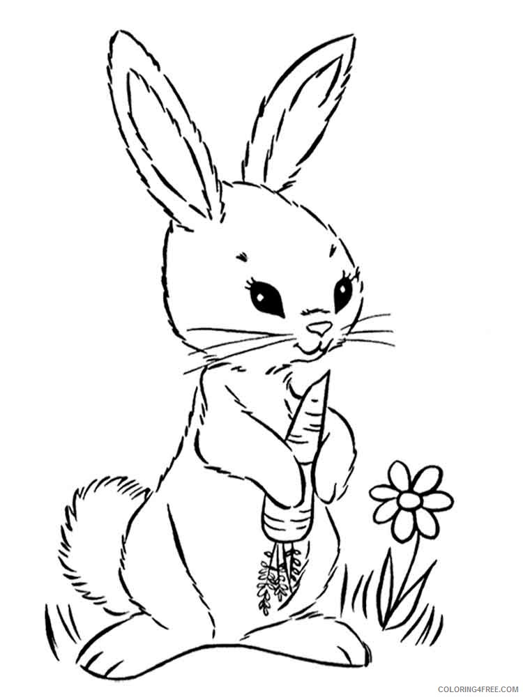 Hare Coloring Pages Animal Printable Sheets hares 18 2021 2595 Coloring4free