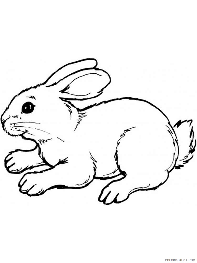 Hare Coloring Pages Animal Printable Sheets hares 7 2021 2600 Coloring4free
