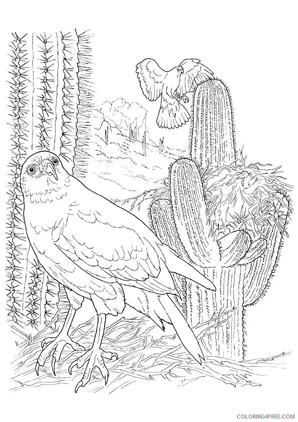 Hawk Coloring Sheets Animal Coloring Pages Printable 2021 2305 Coloring4free