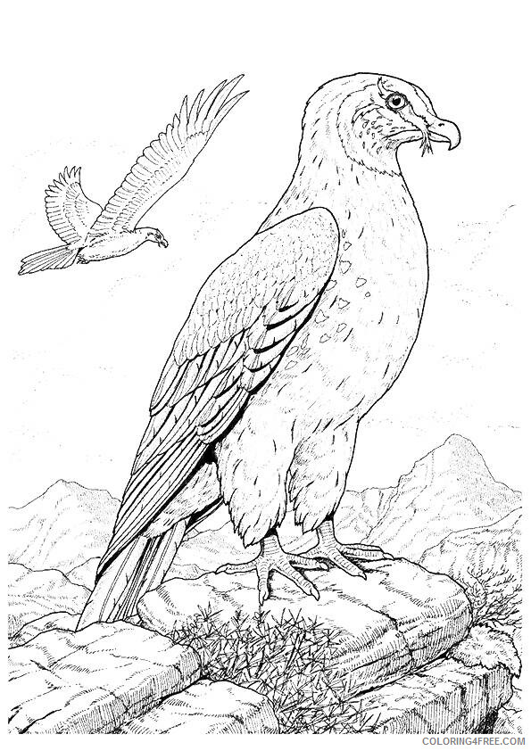 Hawk Coloring Sheets Animal Coloring Pages Printable 2021 2306 Coloring4free