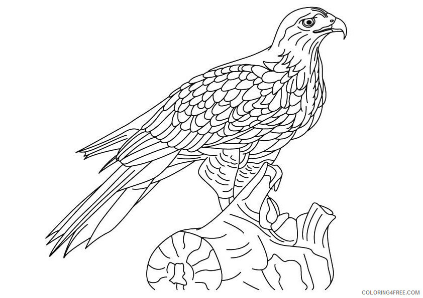 Hawk Coloring Sheets Animal Coloring Pages Printable 2021 2310 Coloring4free