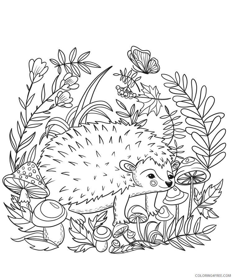 Hedgehog Coloring Pages Animal Printable Sheets 1560156263_hedgehog a4 2021 2620 Coloring4free