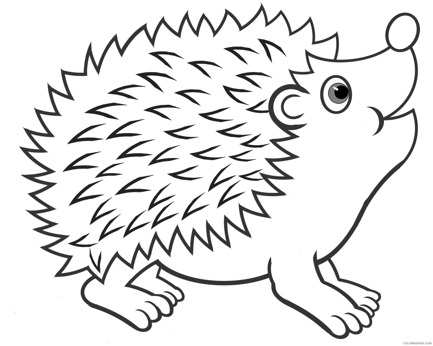 Hedgehog Coloring Pages Animal Printable Sheets Cute Hedgehog 2021 2631 Coloring4free