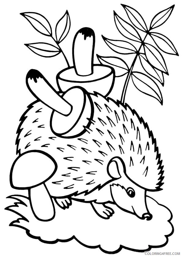 Hedgehog Coloring Pages Animal Printable Sheets Hedgehog 2021 2644 Coloring4free