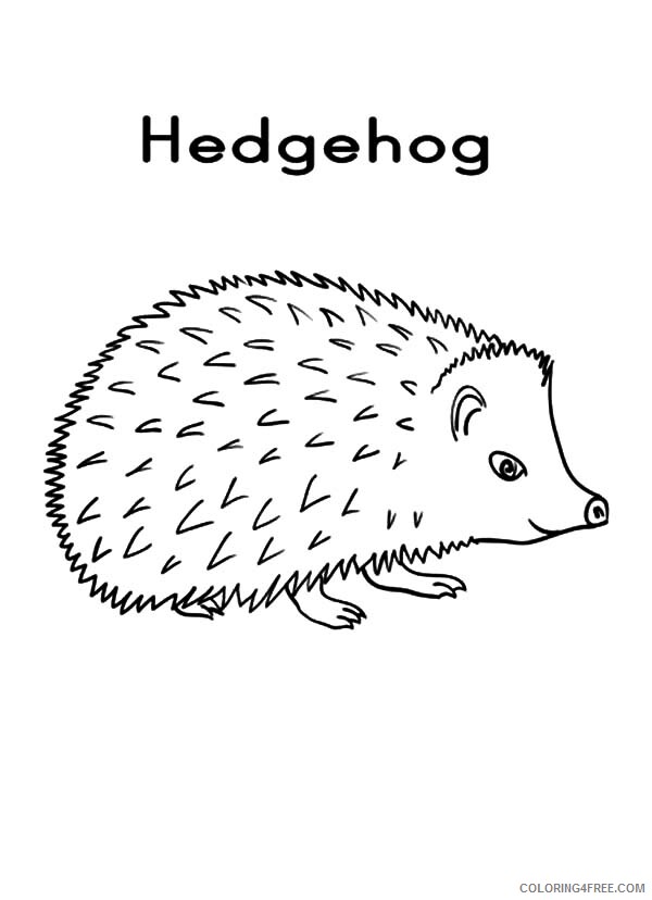 Hedgehog Coloring Pages Animal Printable Sheets Hedgehog for Kids 2021 2640 Coloring4free