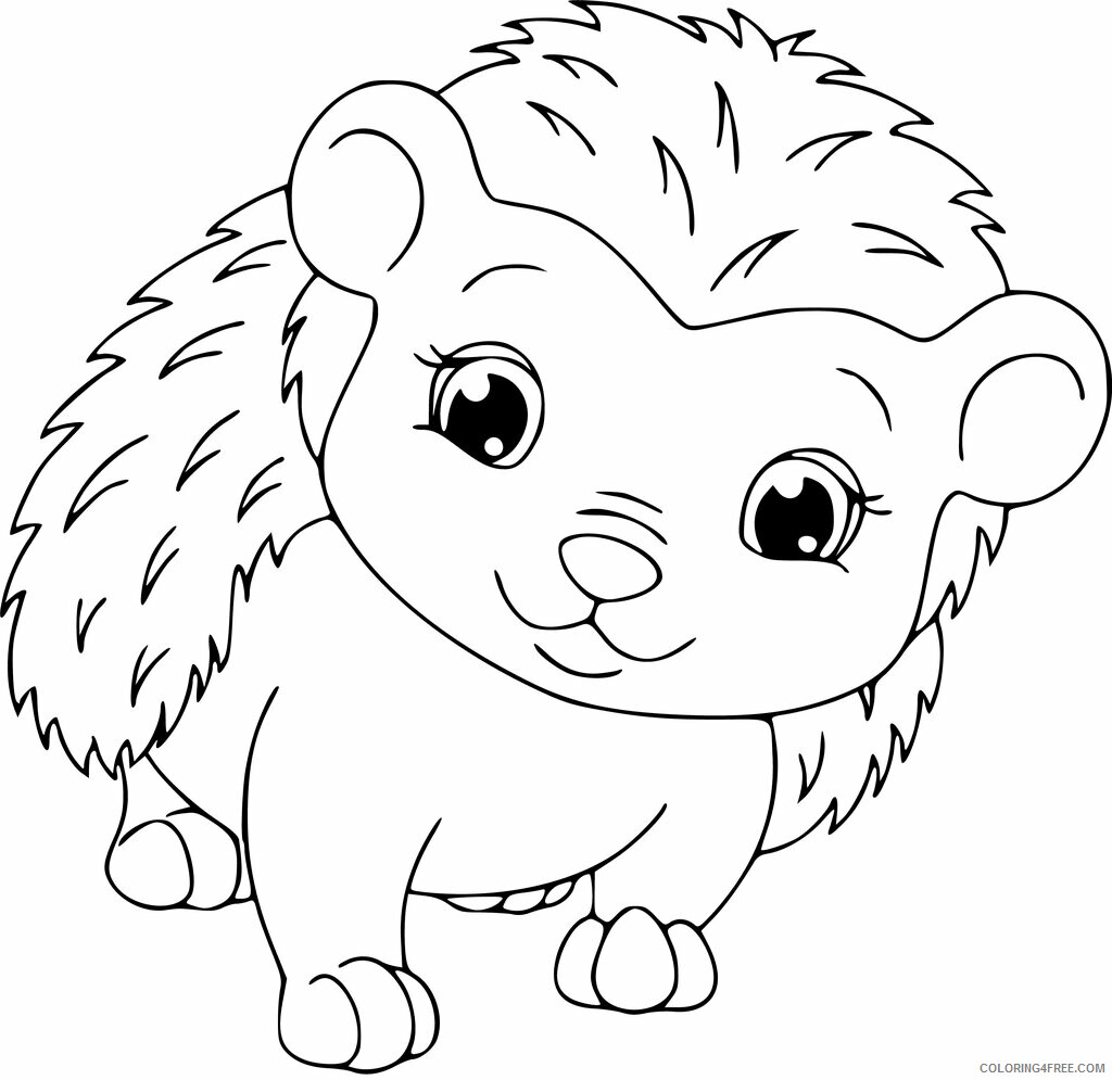 Hedgehog Coloring Pages Animal Printable Sheets Pretty Hedgehog 2021 2647 Coloring4free