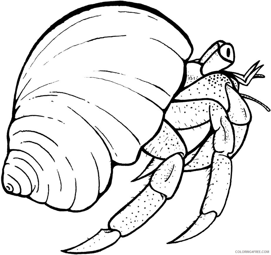 Hermit Crab Coloring Pages Animal Printable Sheets Hermit Crab 2021 2655 Coloring4free