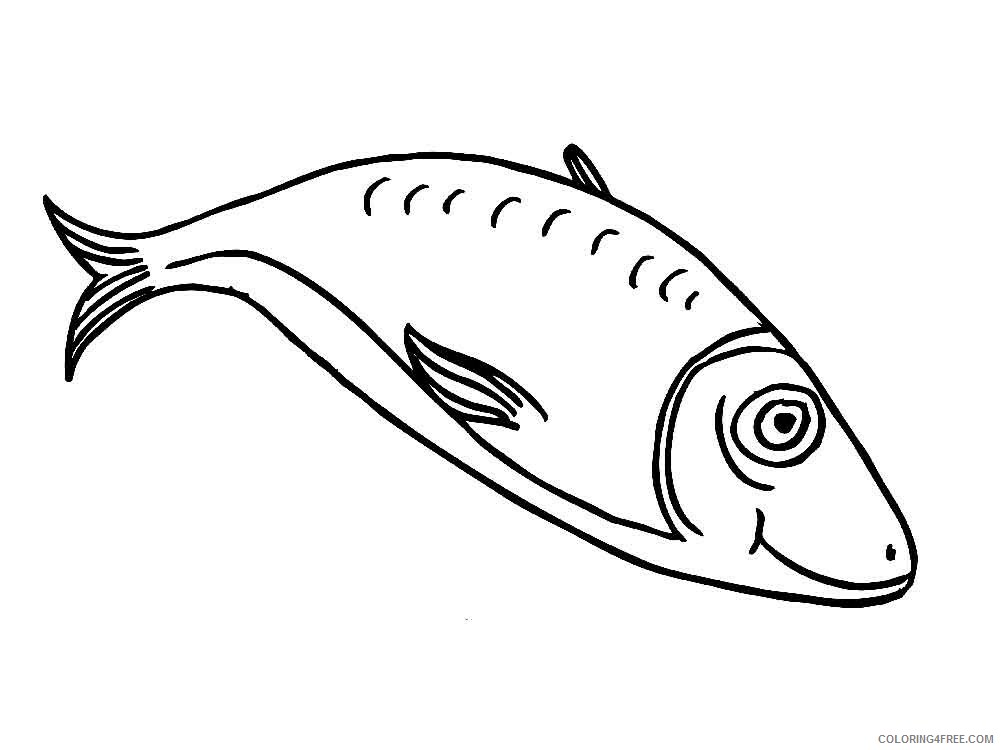 Herring Coloring Pages Animal Printable Sheets Herring 1 2021 2668 Coloring4free