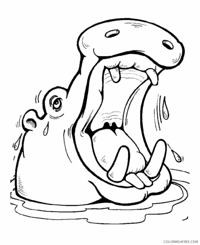 Hippo Coloring Sheets Animal Coloring Pages Printable 2021 2340 Coloring4free