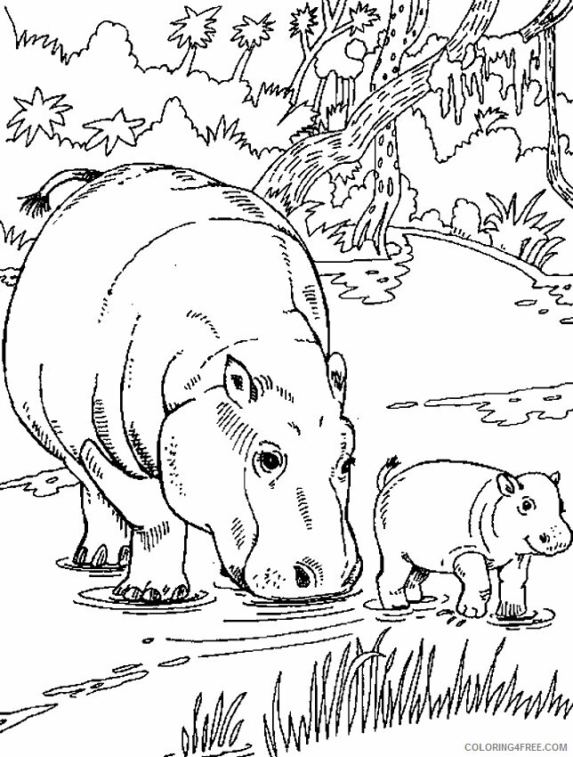 Hippo Coloring Sheets Animal Coloring Pages Printable 2021 2341 Coloring4free