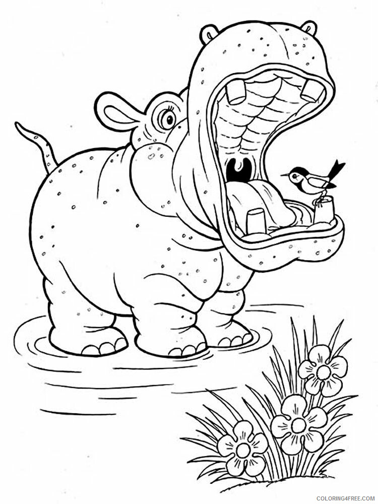 Hippopotamus Coloring Pages Animal Printable Sheets 342 2021 2710 Coloring4free
