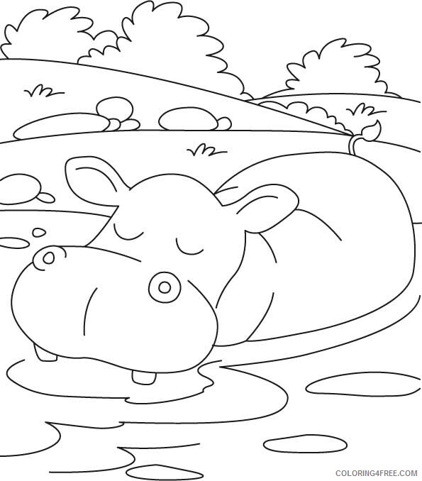 Hippopotamus Coloring Pages Animal Printable Sheets Free Hippo 2021 2679 Coloring4free