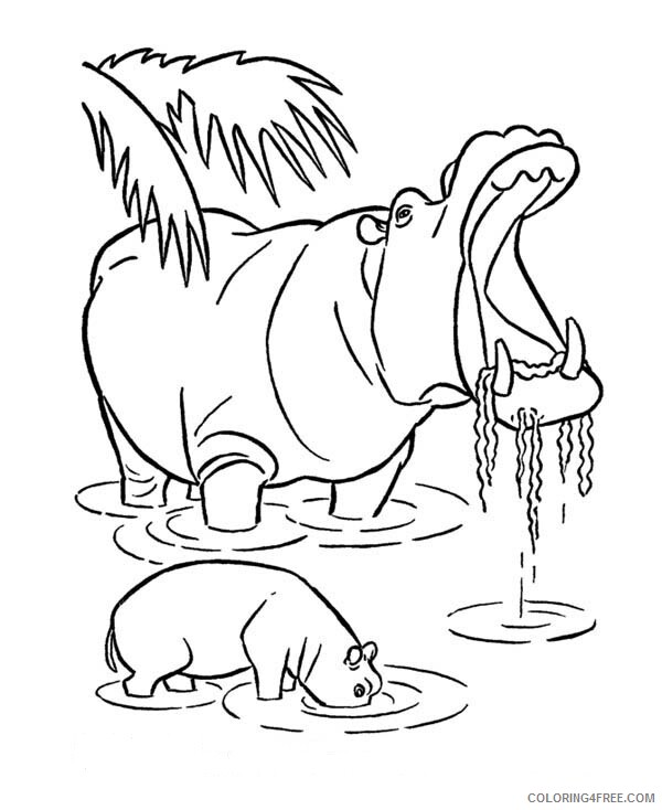 Hippopotamus Coloring Pages Animal Printable Sheets Free Hippo 2021 2681 Coloring4free