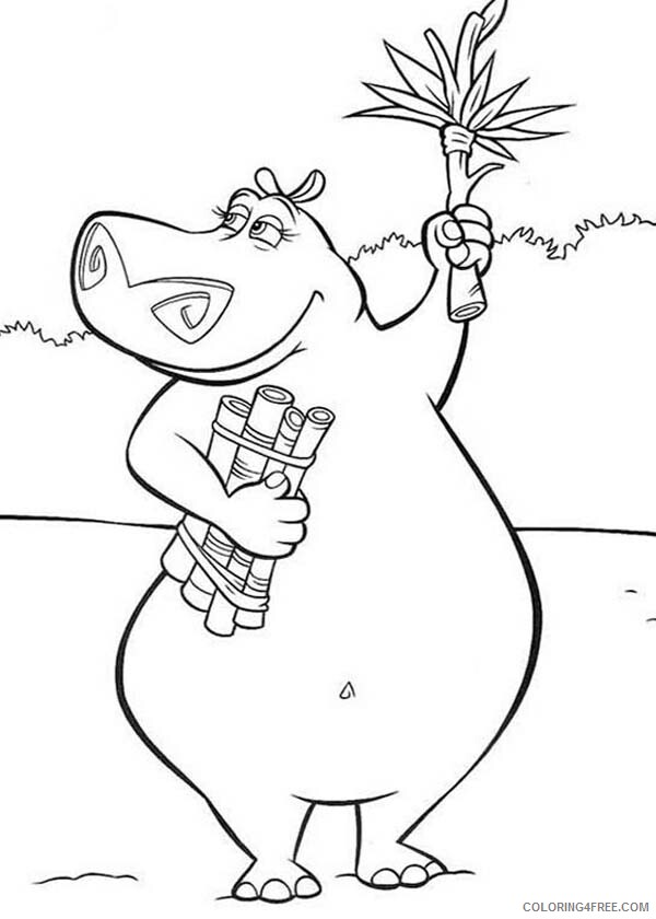 Hippopotamus Coloring Pages Animal Printable Sheets Gloria the Hippo 2021 2682 Coloring4free