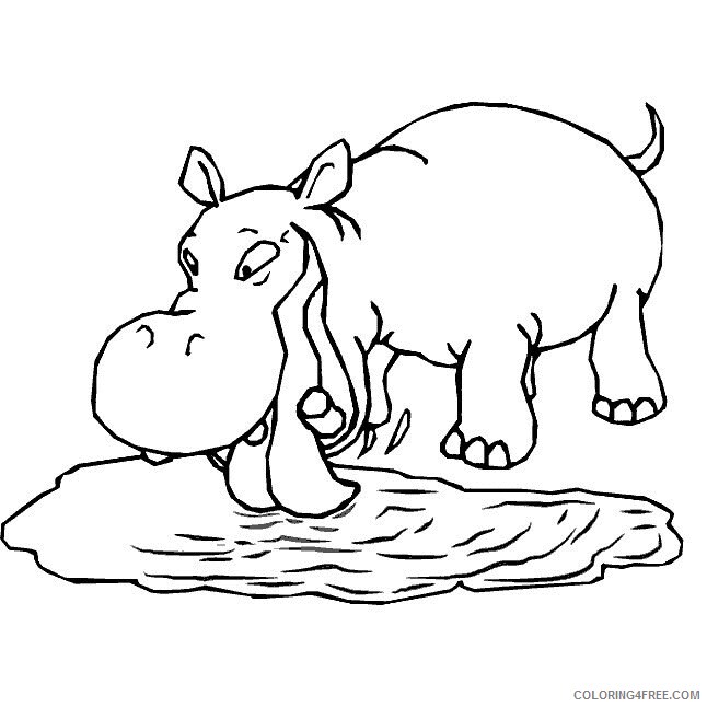 Hippopotamus Coloring Pages Animal Printable Sheets Hippo For Kids 2 2021 2700 Coloring4free