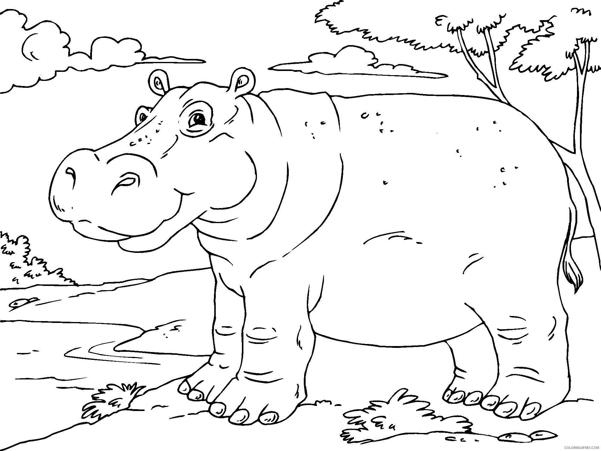 Hippopotamus Coloring Pages Animal Printable Sheets Hippo Pictures 2021 2702 Coloring4free