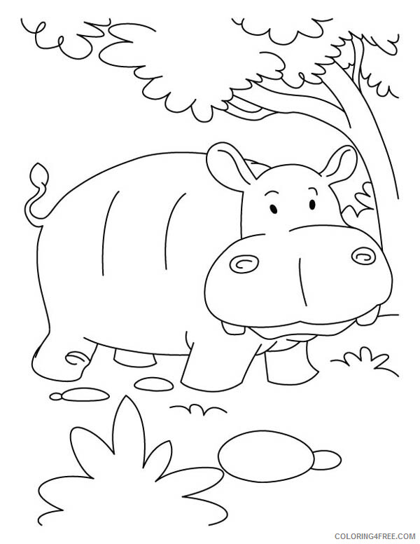 Hippopotamus Coloring Pages Animal Printable Sheets Hippo Sheets 2021 2707 Coloring4free