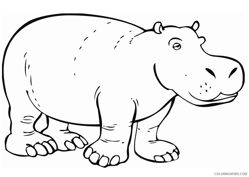 Hippopotamus Coloring Pages Animal Printable Sheets Hippo To Print 2 2021 2703 Coloring4free
