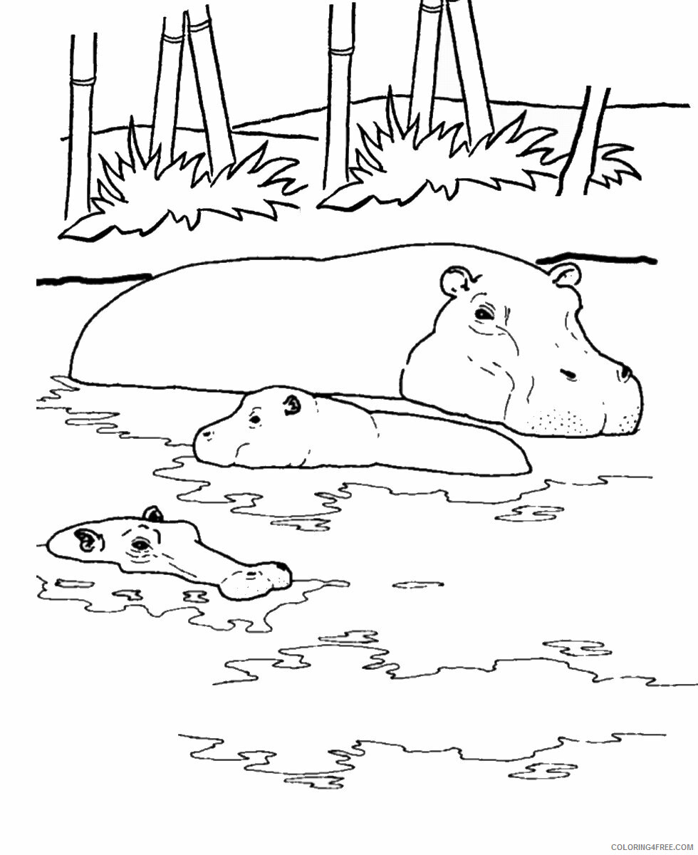 Hippopotamus Coloring Pages Animal Printable Sheets hippo_CL_02 2021 2684 Coloring4free