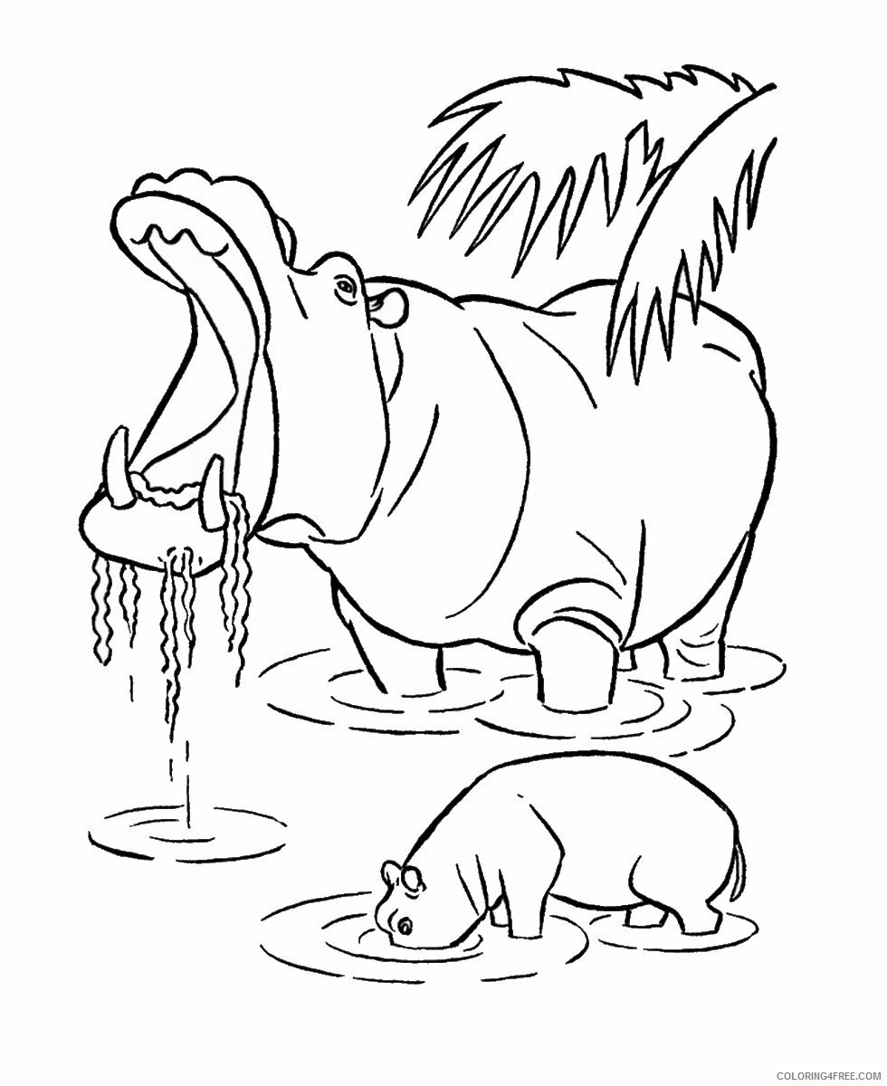 Hippopotamus Coloring Pages Animal Printable Sheets hippo_CL_05 2021 2687 Coloring4free