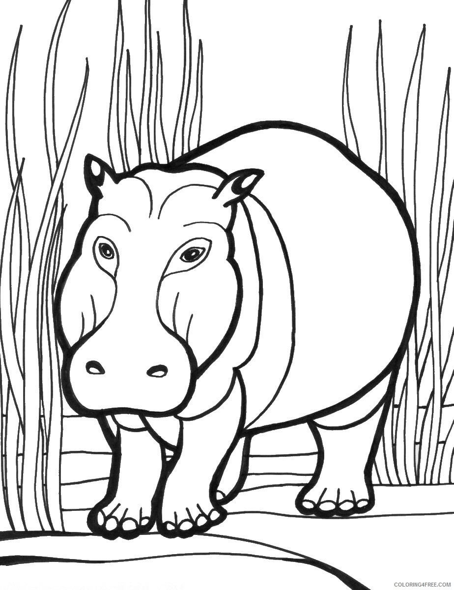Hippopotamus Coloring Pages Animal Printable Sheets hippo_CL_11 2021 2688 Coloring4free