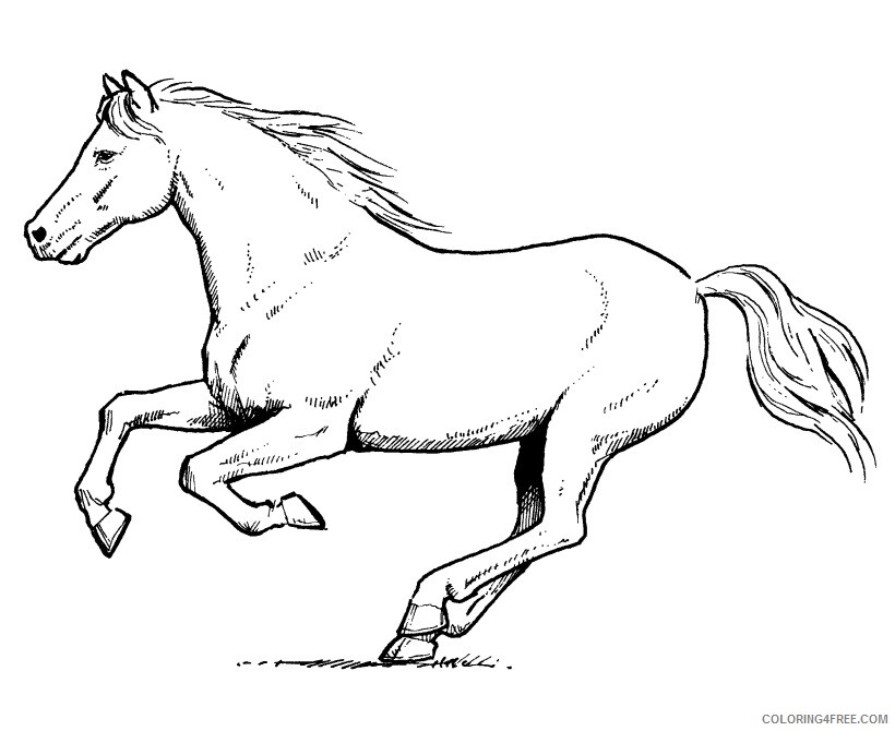 Horse Coloring Sheets Animal Coloring Pages Printable 2021 2390 Coloring4free