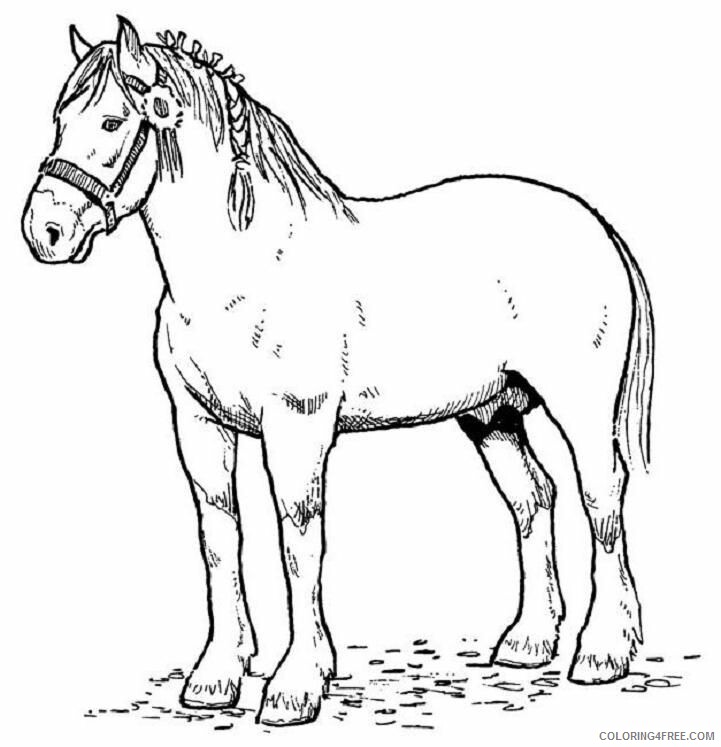 Horse Coloring Sheets Animal Coloring Pages Printable 2021 2458 Coloring4free