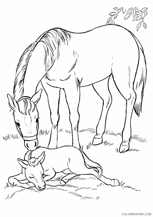 Horse Coloring Sheets Animal Coloring Pages Printable 2021 2475 Coloring4free