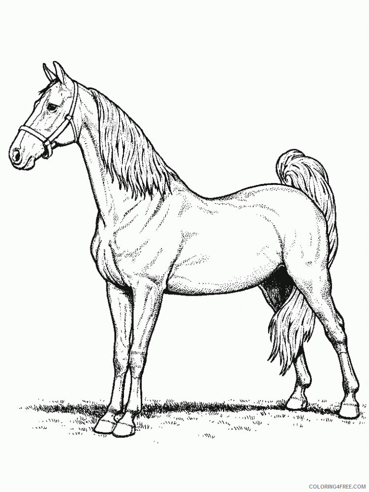 Horse Coloring Sheets Animal Coloring Pages Printable 2021 2485 Coloring4free