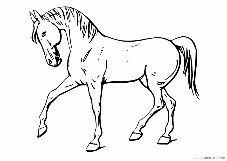 Horses Coloring Pages Animal Printable Sheets Color of Horses 2021 2739 Coloring4free