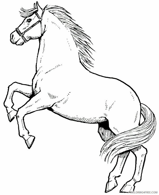 Horses Coloring Pages Animal Printable Sheets Horse 2 2021 2761 Coloring4free