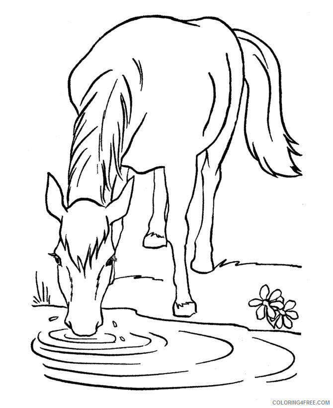 Horses Coloring Pages Animal Printable Sheets Horses 2021 2798 Coloring4free