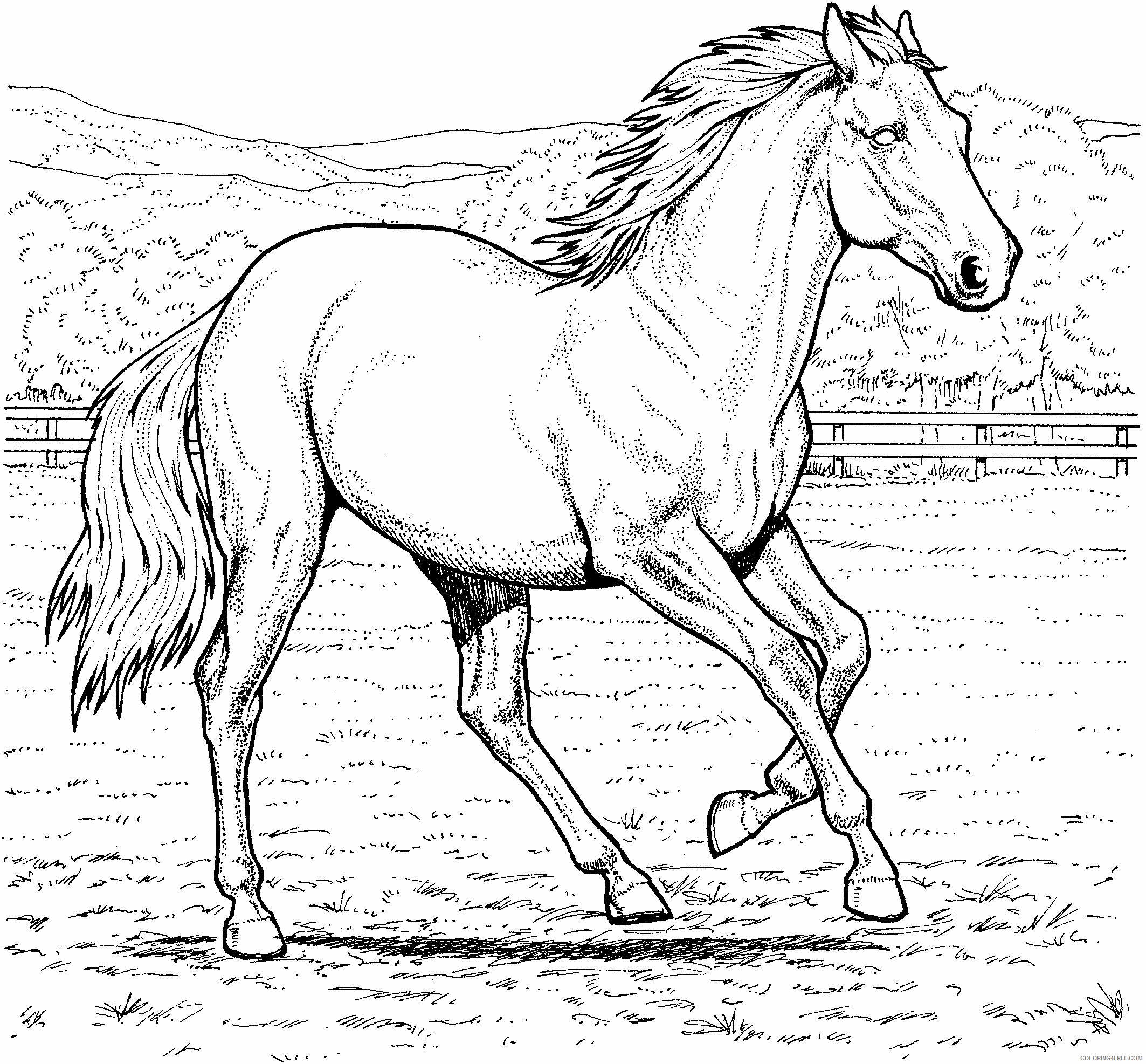 Horses Coloring Pages Animal Printable Sheets Real Horse 2021 2808 Coloring4free