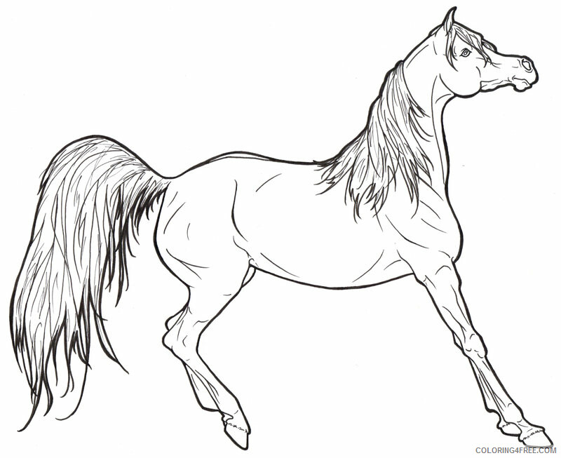 Horses Coloring Pages Animal Printable Sheets Realistic Horse 2021 2809 Coloring4free
