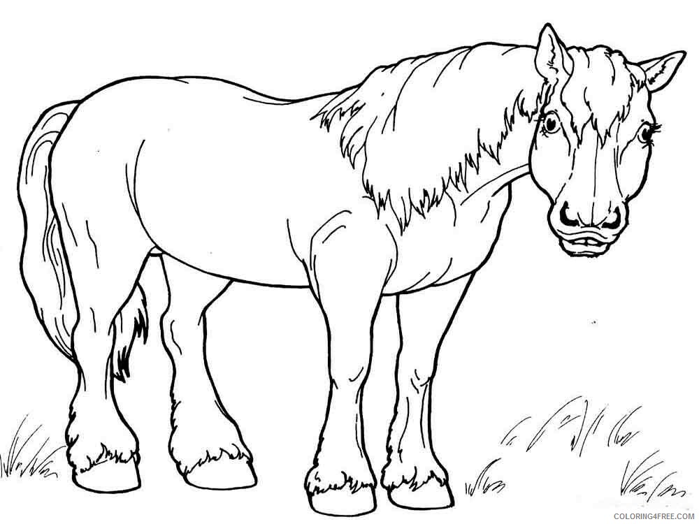 Horses Coloring Pages Animal Printable Sheets animals horse 14 2021 2727 Coloring4free