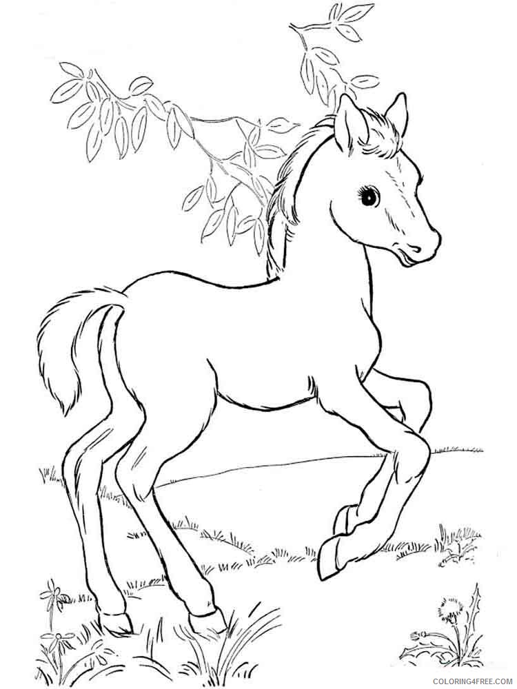 Horses Coloring Pages Animal Printable Sheets animals horse 2 2021 2729 Coloring4free