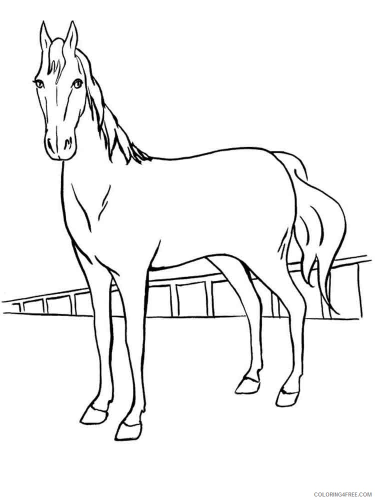 Horses Coloring Pages Animal Printable Sheets animals horse 26 2021 2731 Coloring4free
