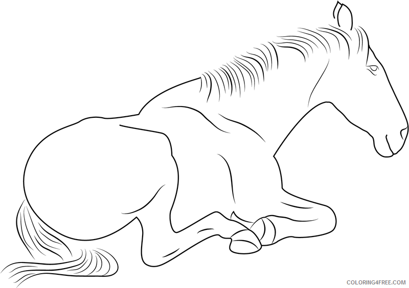 Horses Coloring Pages Animal Printable Sheets sitting horse1 2021 2812 Coloring4free