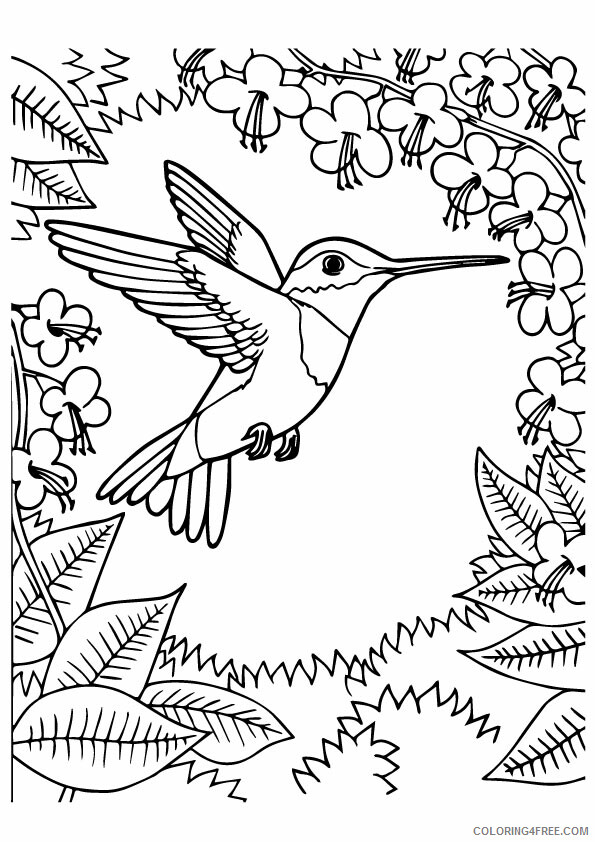 Hummingbird Coloring Sheets Animal Coloring Pages Printable 2021 2486 Coloring4free