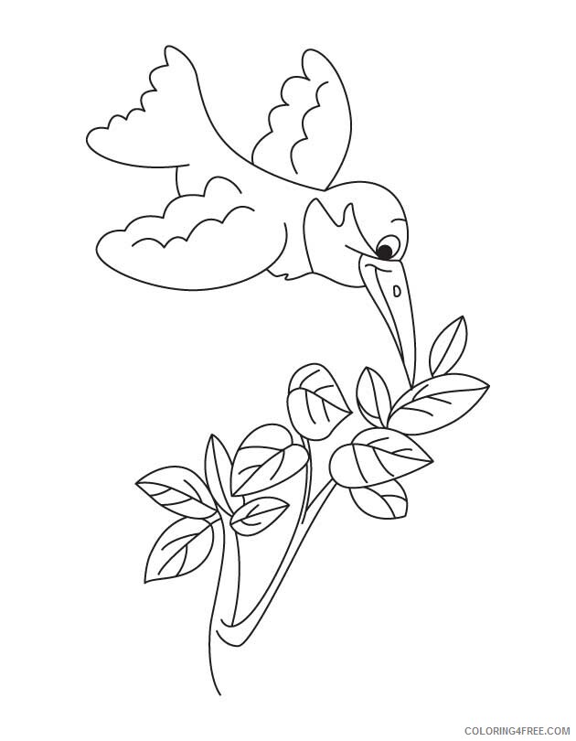 Hummingbird Coloring Sheets Animal Coloring Pages Printable 2021 2498 Coloring4free