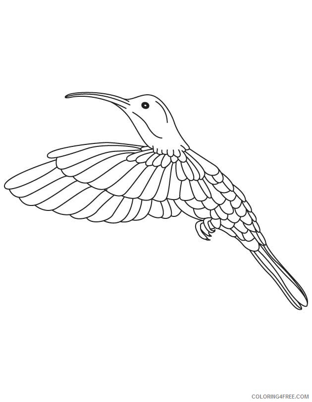 Hummingbird Coloring Sheets Animal Coloring Pages Printable 2021 2499 Coloring4free