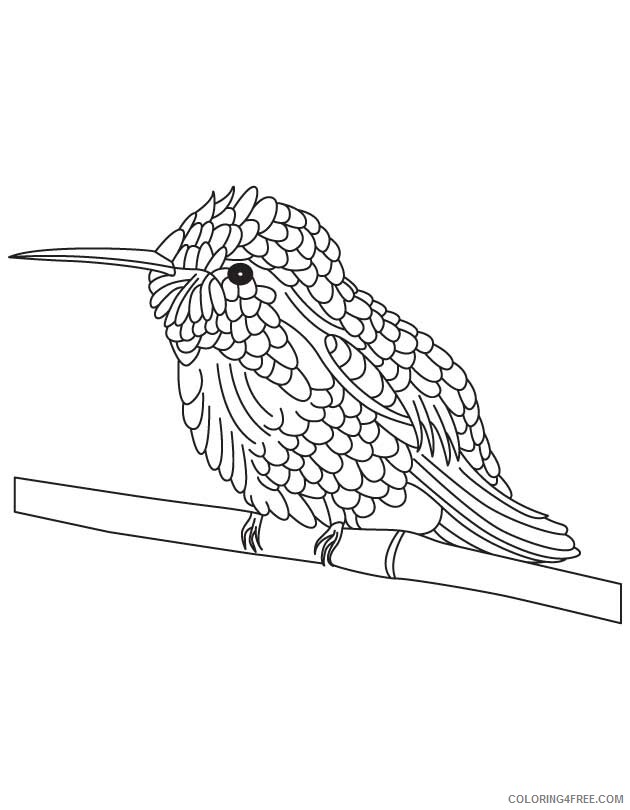 Hummingbirds Coloring Pages Animal Printable Sheets 2021 2816 Coloring4free