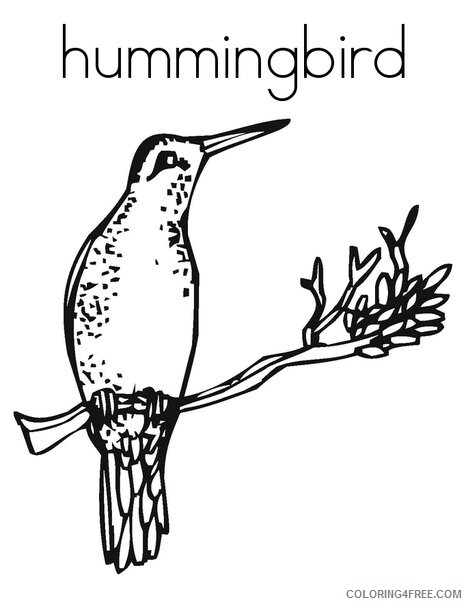 Hummingbirds Coloring Pages Animal Printable Sheets to Print 2021 2823 Coloring4free